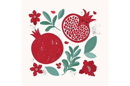 انار ویژه شب یلدا به همراه برگ و شاخه به صورت پترن وکتور لایه باز و فایل EPS